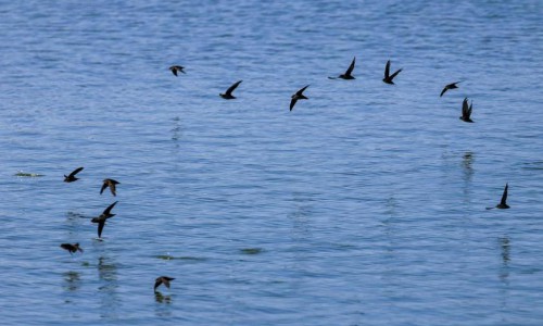 0-12